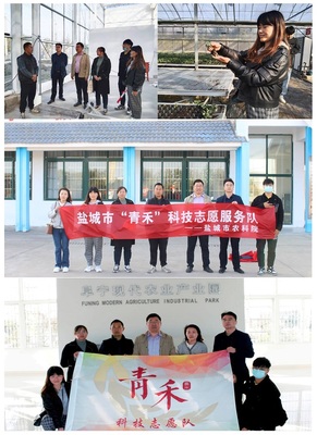 經(jīng)作室赴阜寧新溝鎮(zhèn)開展“青禾”科技志愿服務(wù)活動(dòng)，助力鹽城農(nóng)業(yè)推廣服務(wù)