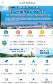 東臺官方旗艦店盛大啟航，鹽城首家創(chuàng)新平臺引領區(qū)域發(fā)展