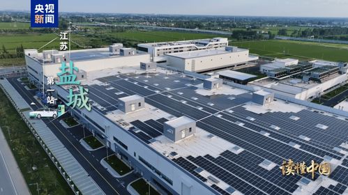 讀懂中國(guó) 歐洲青年體驗(yàn)中國(guó)式現(xiàn)代化丨前進(jìn) 新能源汽車(chē) 鹽城推廣服務(wù)