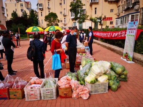 青島市南湛山社區 半小時售罄3000斤！新鮮蔬果進社區，助農惠企利民見實效